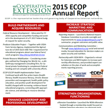 CES Annual Report 2015
