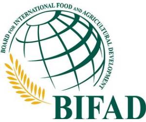 BIFAD logo