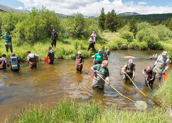 Photo Courtesy of Colorado State University