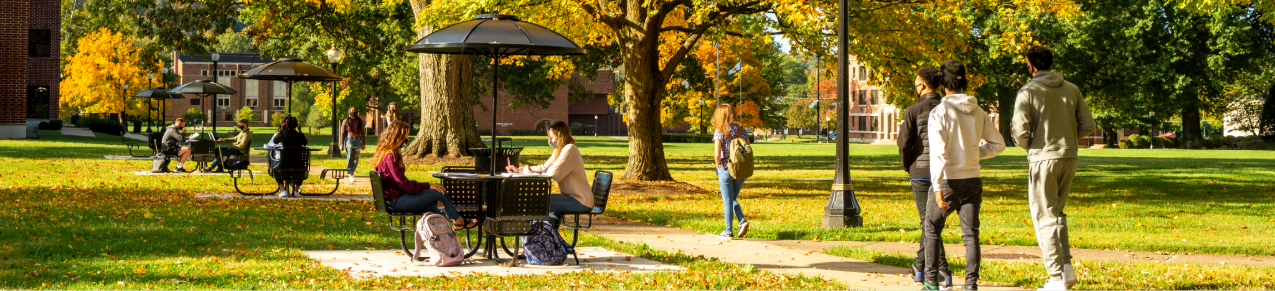 A photo of WVSU's campus in the fall.