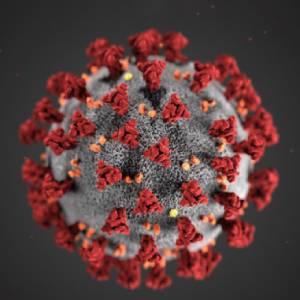 Penn State Funds High-Impact Coronavirus Research