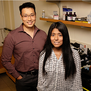 From left: Jefferson (Jeff) Chan, professor of chemistry; and Melissa Lucero, graduate student in chemical biology
