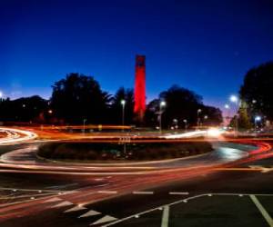 Photo Courtesy of North Carolina State University