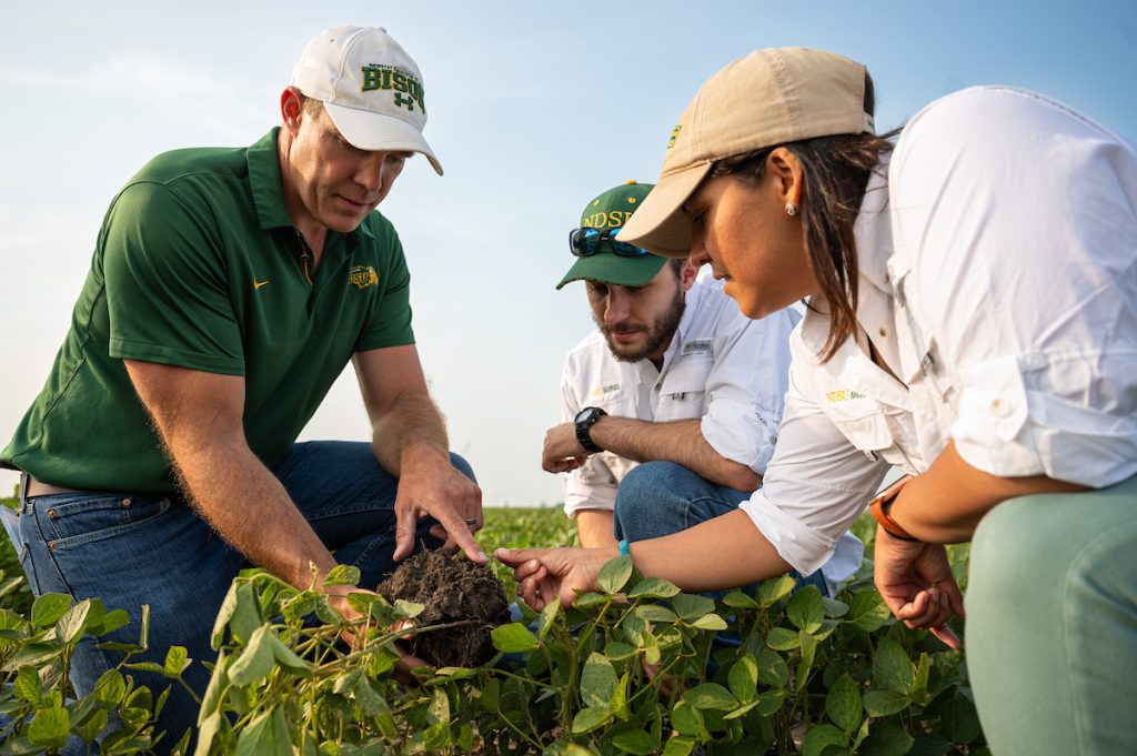 Researchers from NDSU examine the roots of a plant in a field.