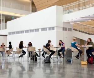 Students collaborate at tables in a large classroom