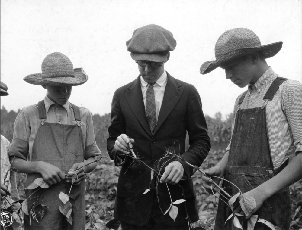A black and white photo of three men in a crop field illustrating NC State's 4-H club. Two men are in coveralls and straw hats, and the other is in a suit and a cap.