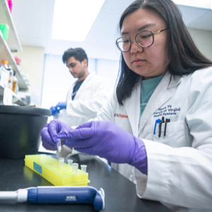 University of Virginia Researchers Respond to COVID-19