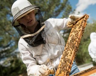 Image of beekeeper. 