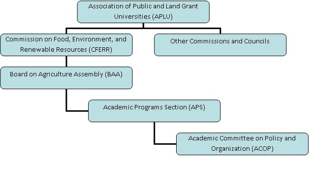 aps organizational chart