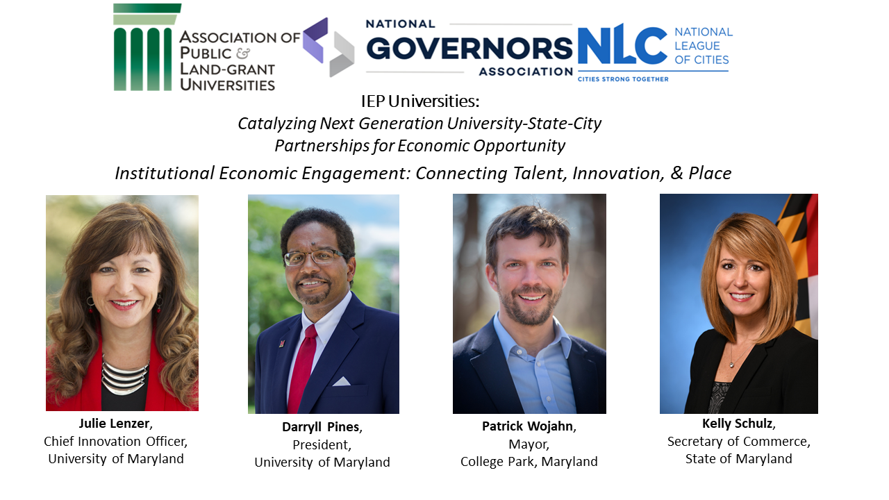 connections webinar panel