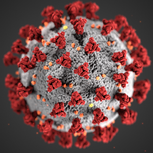 UT Institutions Make Impact in Fight Against COVID-19