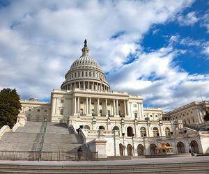 Capitol image