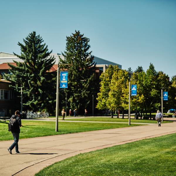 Montana State