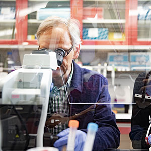 Virginia Tech researchers find unique features in genomes of malaria-transmitting mosquitoes