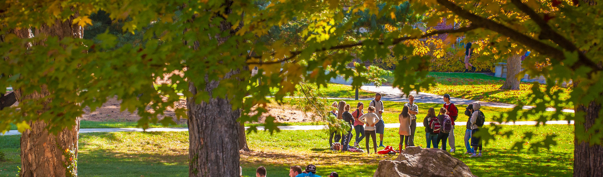 https://aplu-live.s3.amazonaws.com/wp-content/uploads/page-bg-students-foliage.jpg