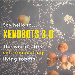 UVM Team Builds First Living Robots That Can Reproduce